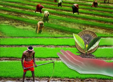 Low interest loan to agriculture sector through cooperative banks