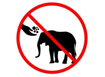 Pilgrims should not feed wild animals