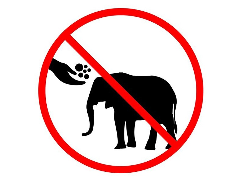 Pilgrims should not feed wild animals